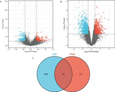 DIRAS3, GPR171 and RAC2 were identified as the key molecular patterns associated with brain metastasis of breast cancer